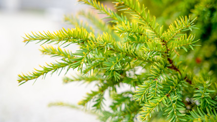 Similar image 22075632