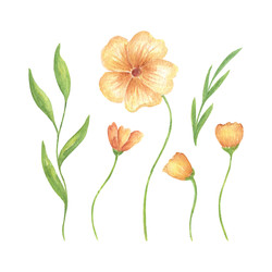 Similar image 22080155