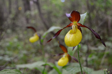 Similar image 22075661