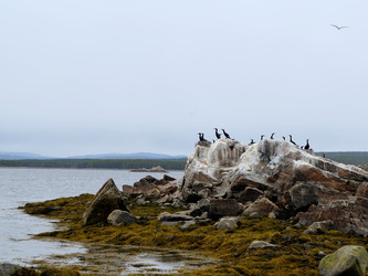 Similar image 22075662