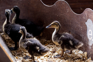 Similar image 22075752