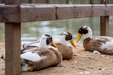 Similar image 22075764