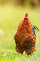 Similar image 22075791