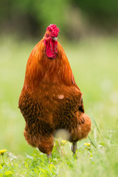 Similar image 22075795