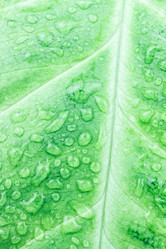 Similar image 22075811