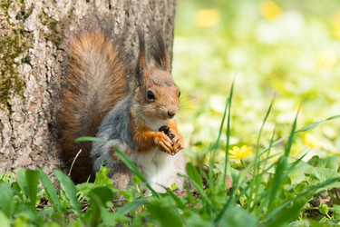 Similar image 22075812