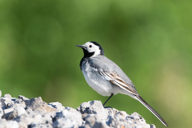 Similar image 22075817