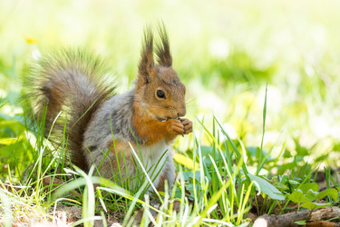 Similar image 22075818