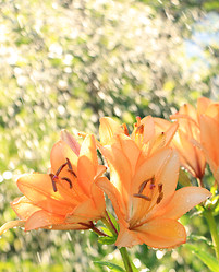 Similar image 22074406