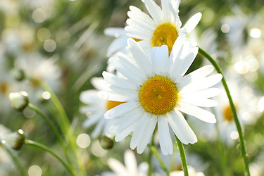 Similar image 22074407