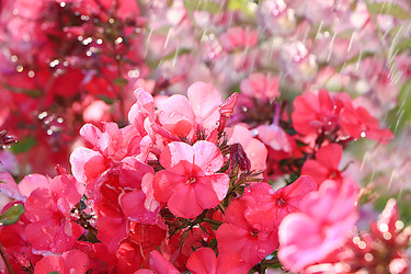 Similar image 22074408