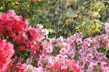 Similar image 22074410