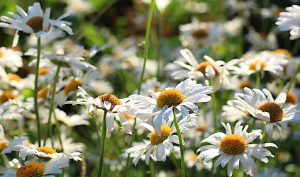 Similar image 22074411