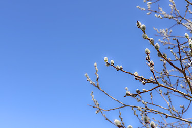 Similar image 22074412