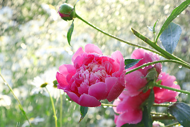 Similar image 22074413