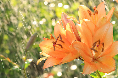 Similar image 22074415