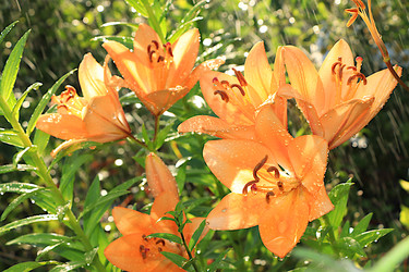 Similar image 22074416