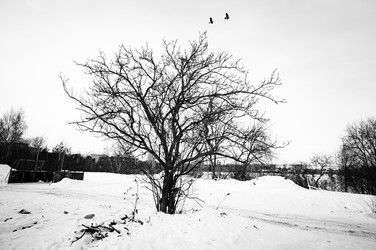 Similar image 22077663