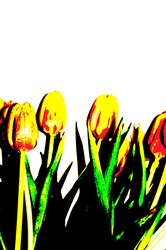 Similar image 22075540