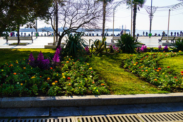 Similar image 22077177