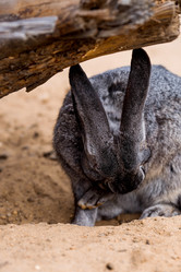 Similar image 22075864