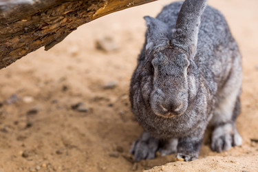 Similar image 22075866