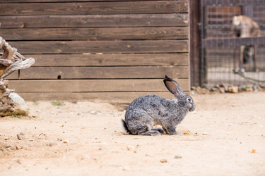 Similar image 22075868