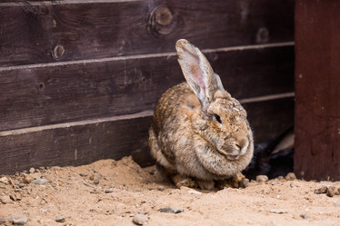 Similar image 22075870