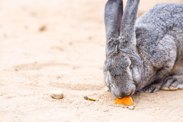 Similar image 22075872