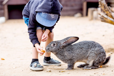 Similar image 22075876