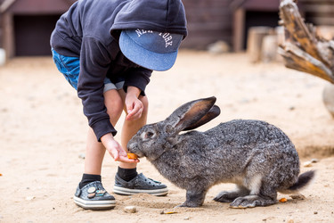 Similar image 22075878