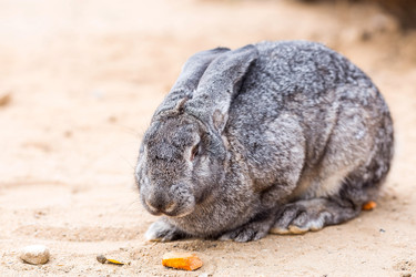 Similar image 22075890