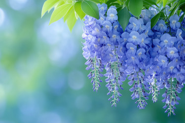 Similar image 22075892