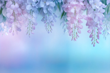 Similar image 22075894