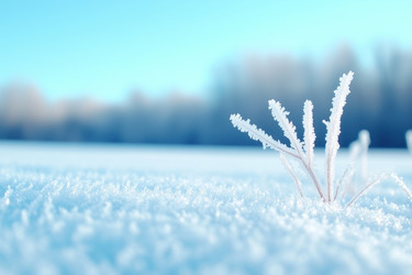 Similar image 22076091