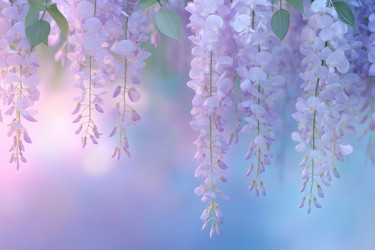 Similar image 22076097