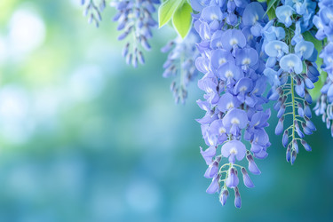 Similar image 22076107