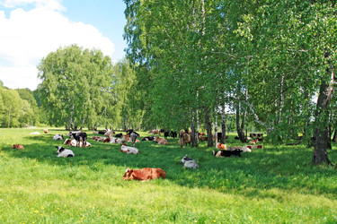 Similar image 22075697