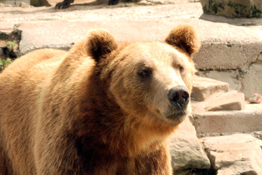 Similar image 22075700