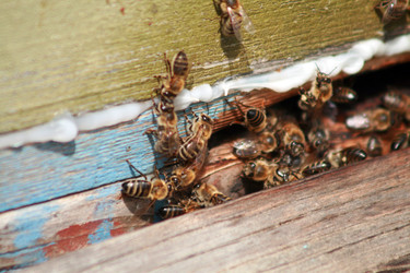 Similar image 22075701