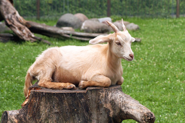 Similar image 22075704