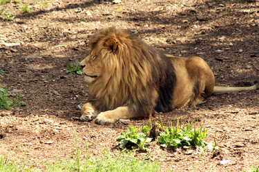 Similar image 22075707