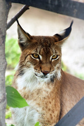 Similar image 22075708