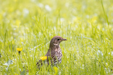 Similar image 22075940