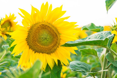 Similar image 22075956