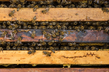 Similar image 22075957