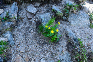 Similar image 22077083