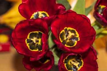 Similar image 22075718