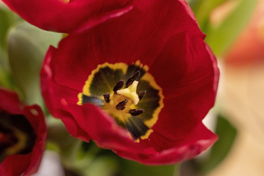 Similar image 22075729