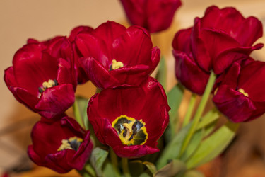 Similar image 22075734